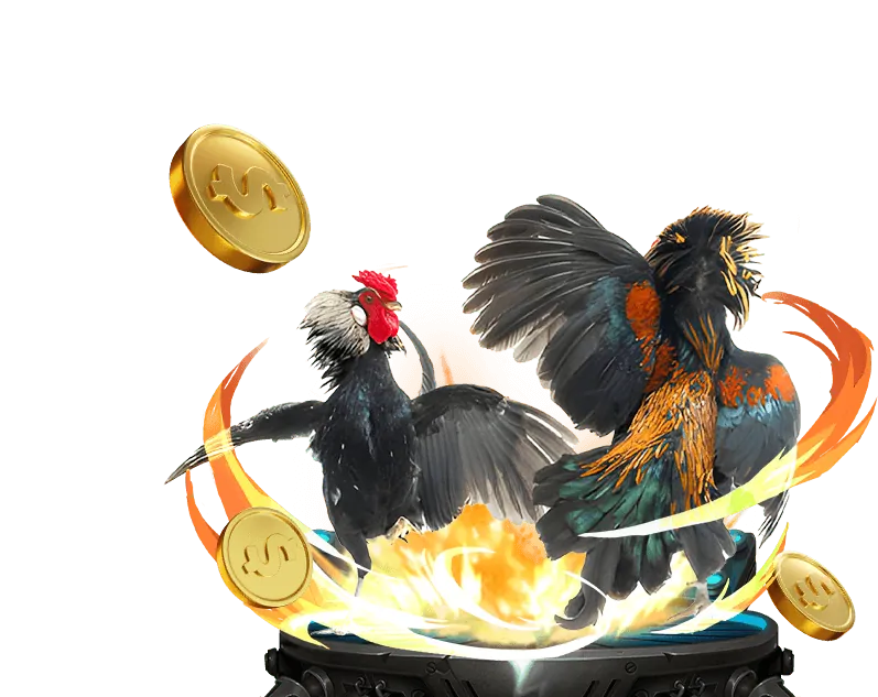 Giới thiệu tổng quan về nền tảng cá cược trực tuyến MCW67